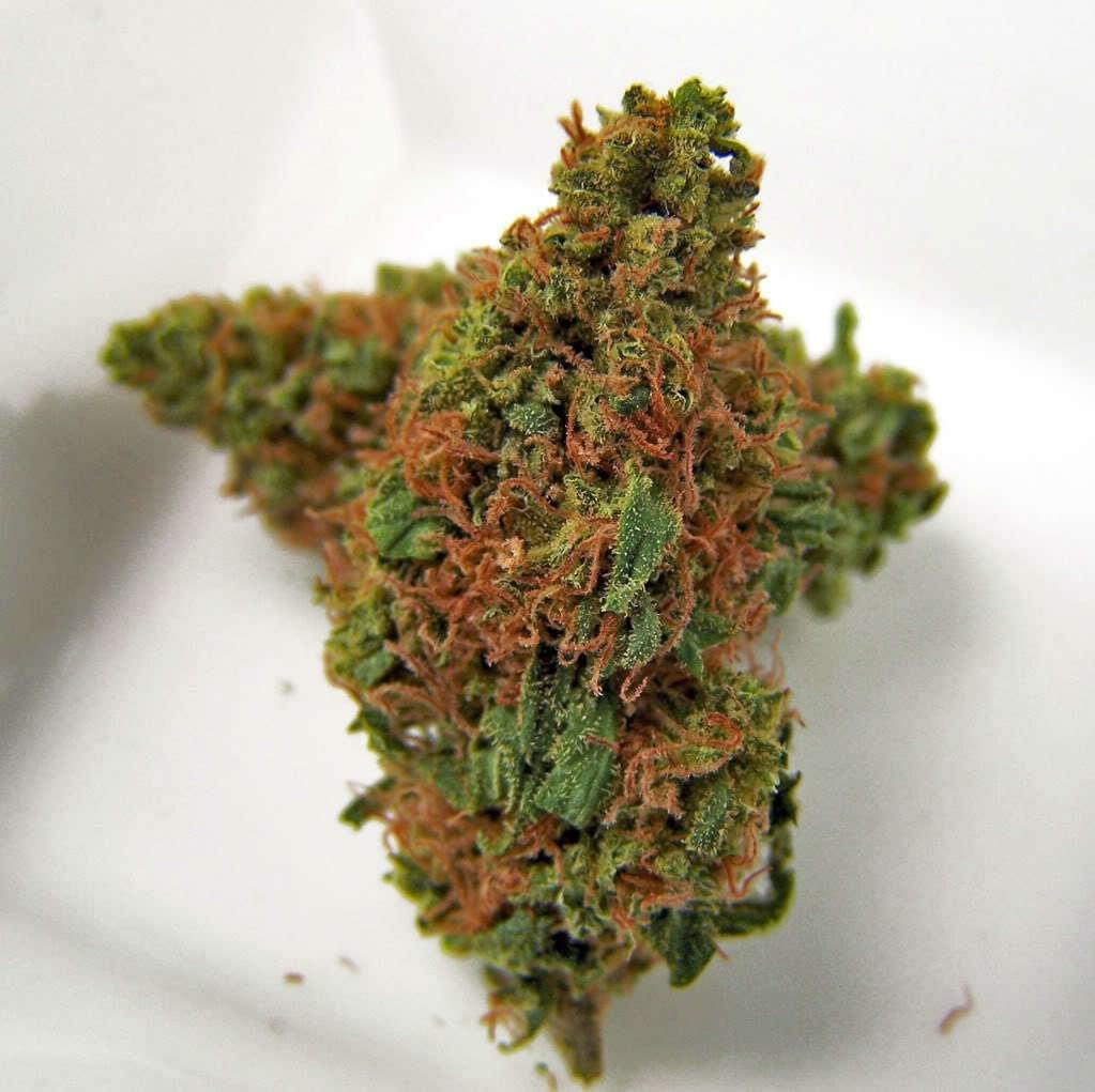 Jack Frost Strain Information & Reviews Where