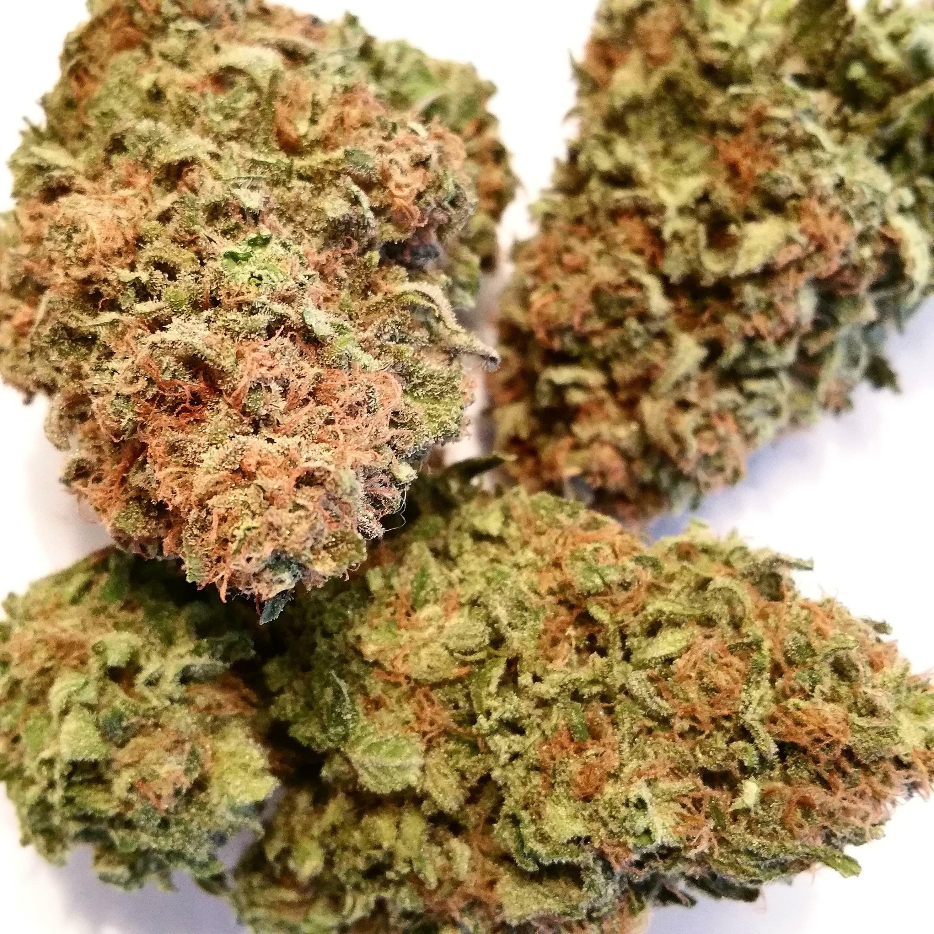 Kosher Kush Strain Information & Reviews | Where's Weed