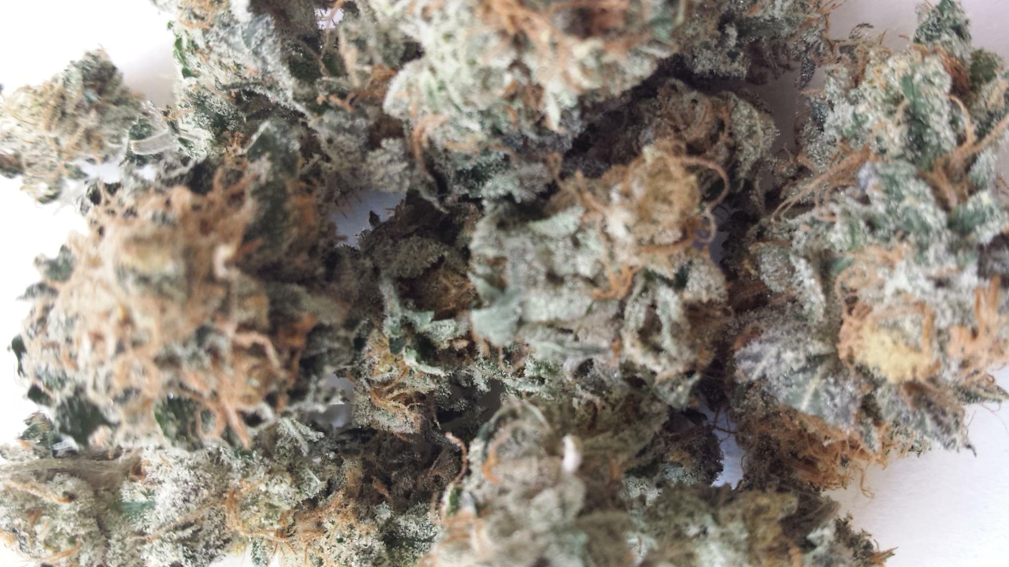 Cookies and Cream Strain Information & Reviews Where's Weed