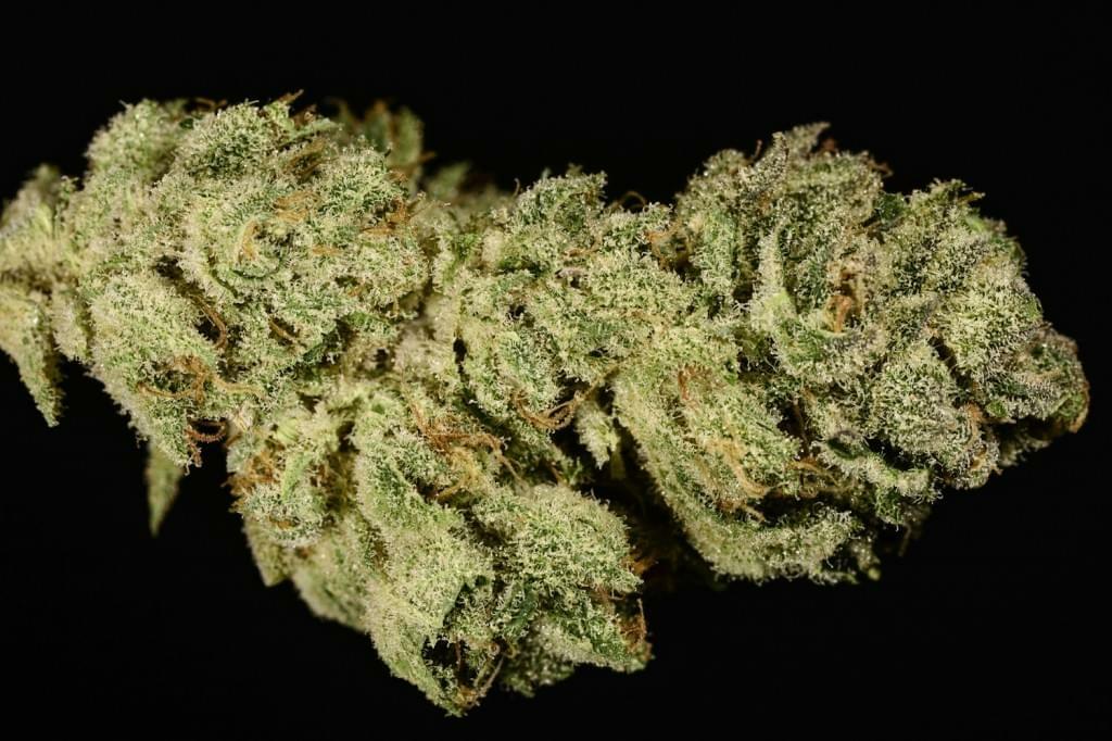 Juicy Fruit Strain Information & Reviews Where's Weed