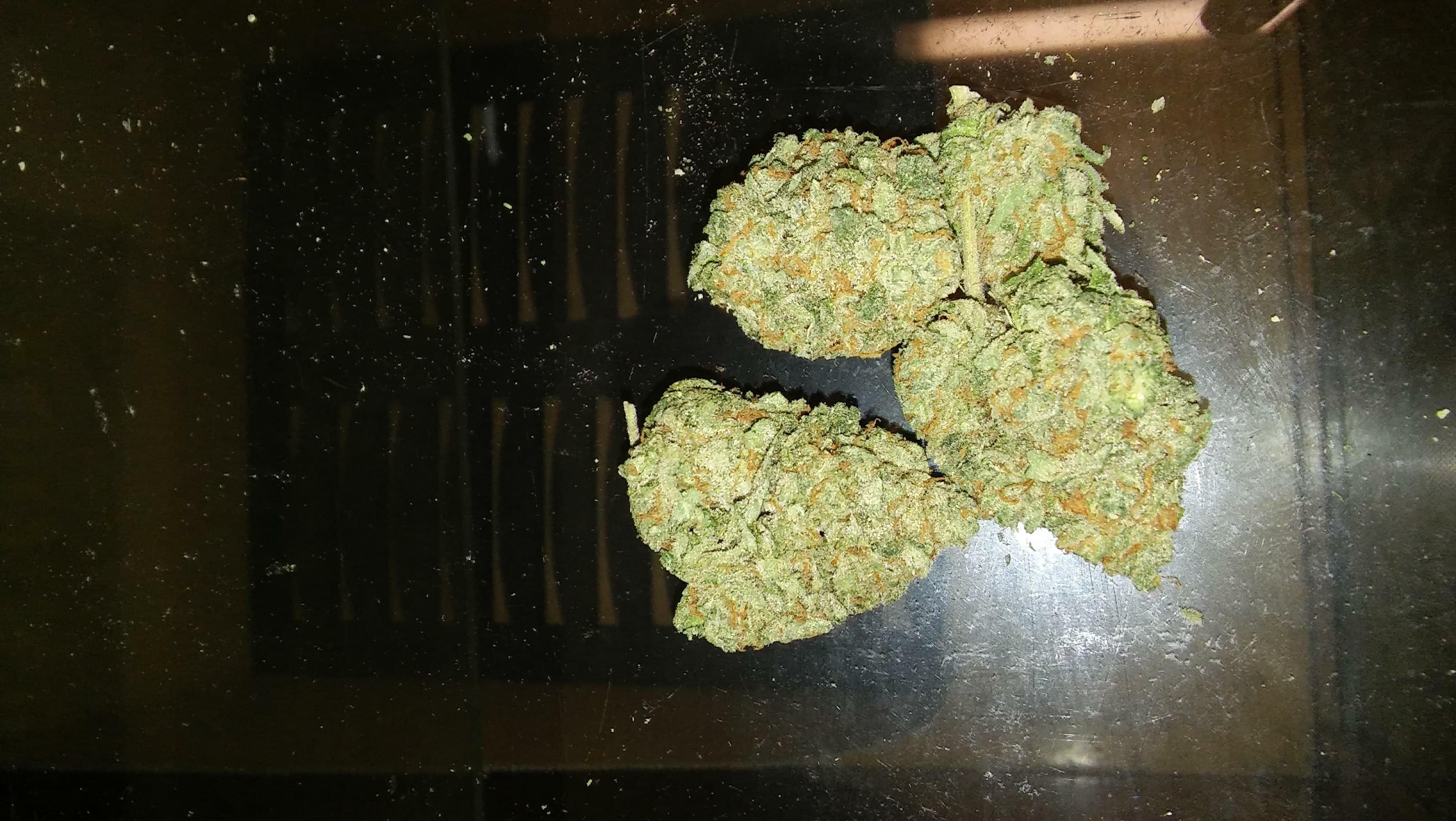 Monster Cookies Strain Information & Reviews | Where's Weed