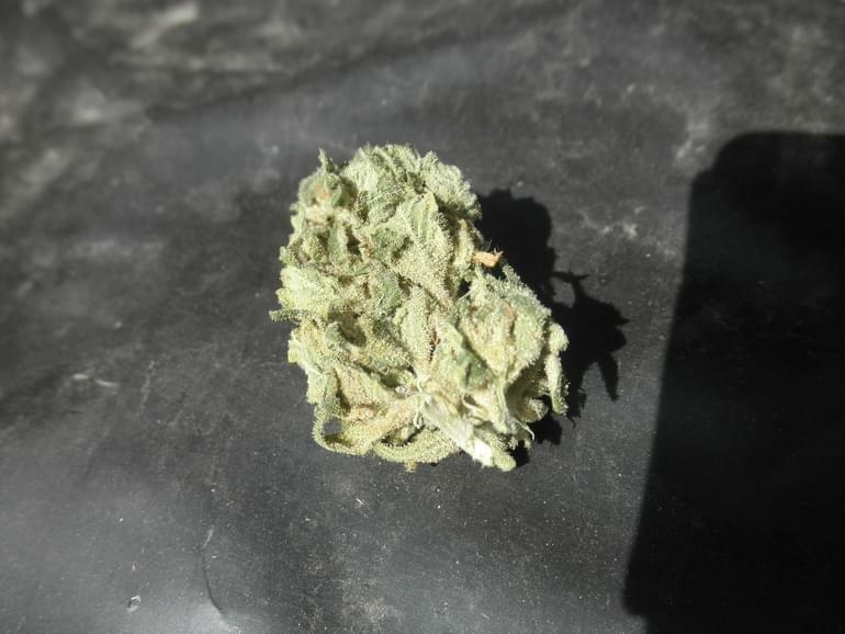 Green Ribbon Strain Information & Reviews Where's Weed