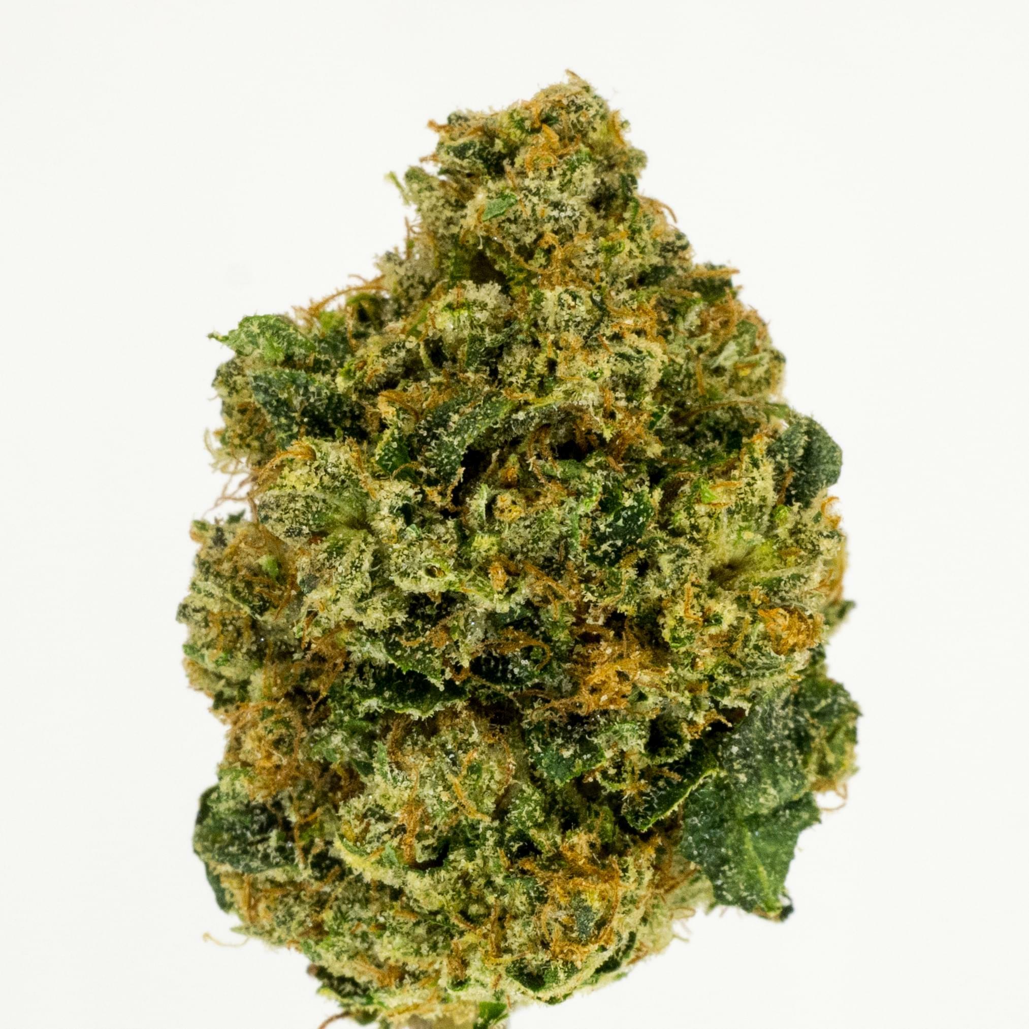 Sour Kush Strain Information & Reviews | Where's Weed