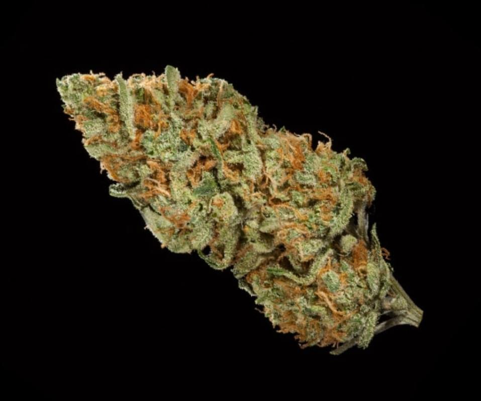 Kosher Kush Strain Information & Reviews Where's Weed