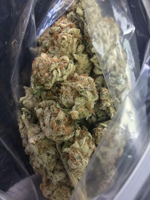 Platinum Kush Strain Information & Reviews Where's Weed