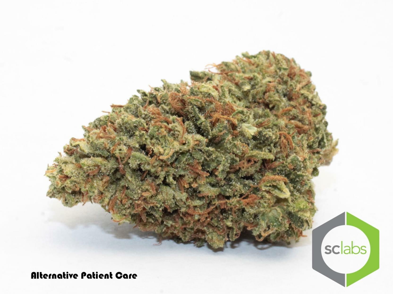 Pineapple Jack Strain Information & Reviews Where's Weed