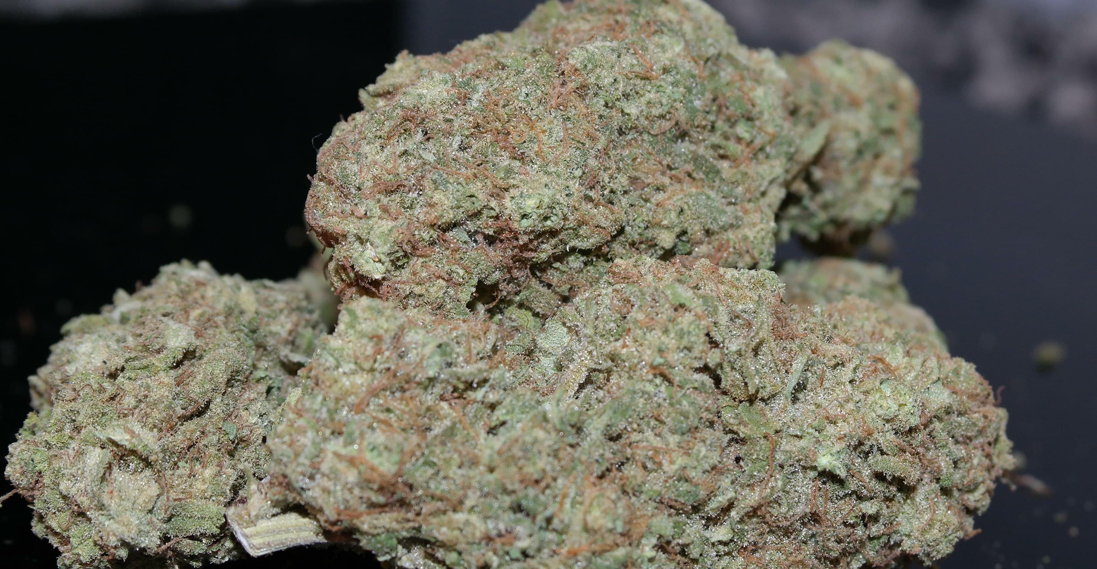 Pineapple Kush Strain Information & Reviews Where's Weed