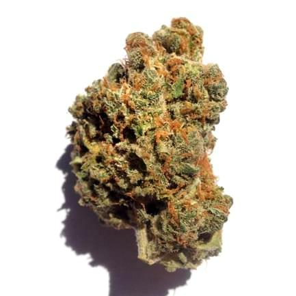 Jack Herer