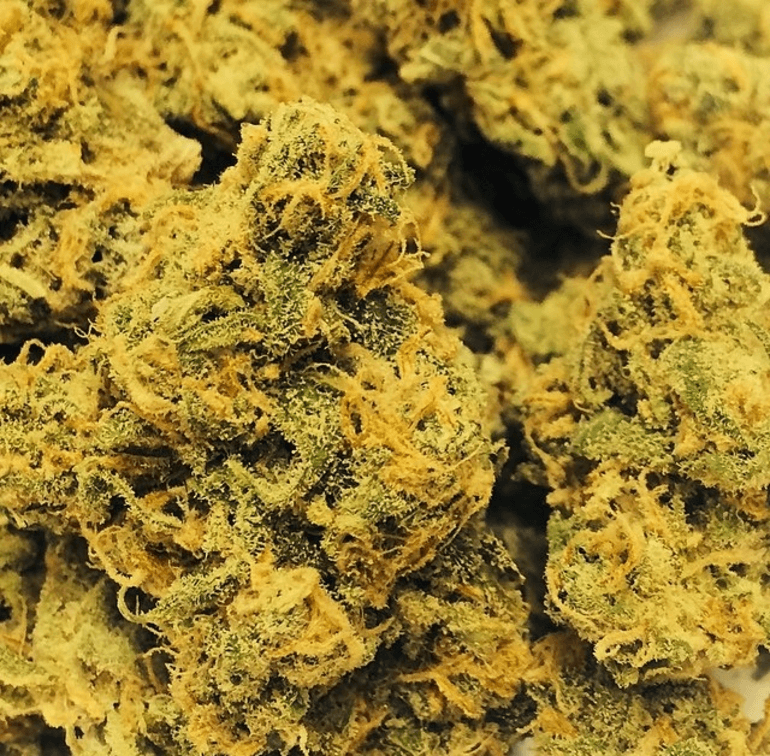 Double Dream Strain Information & Reviews Where's Weed