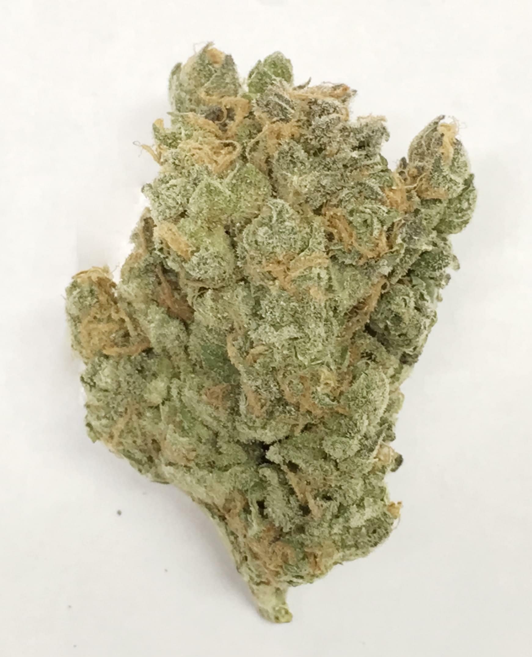 Double Dream Strain Information & Reviews Where's Weed