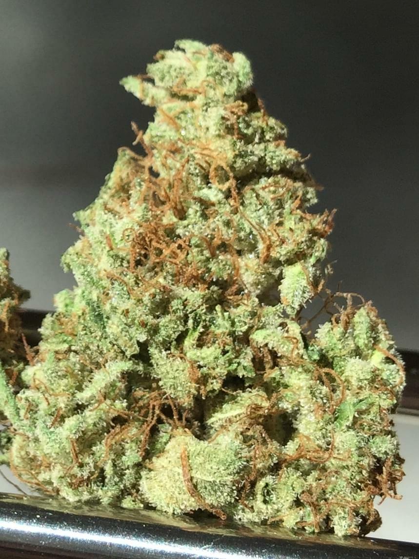 Master Og Strain Information & Reviews | Where's Weed