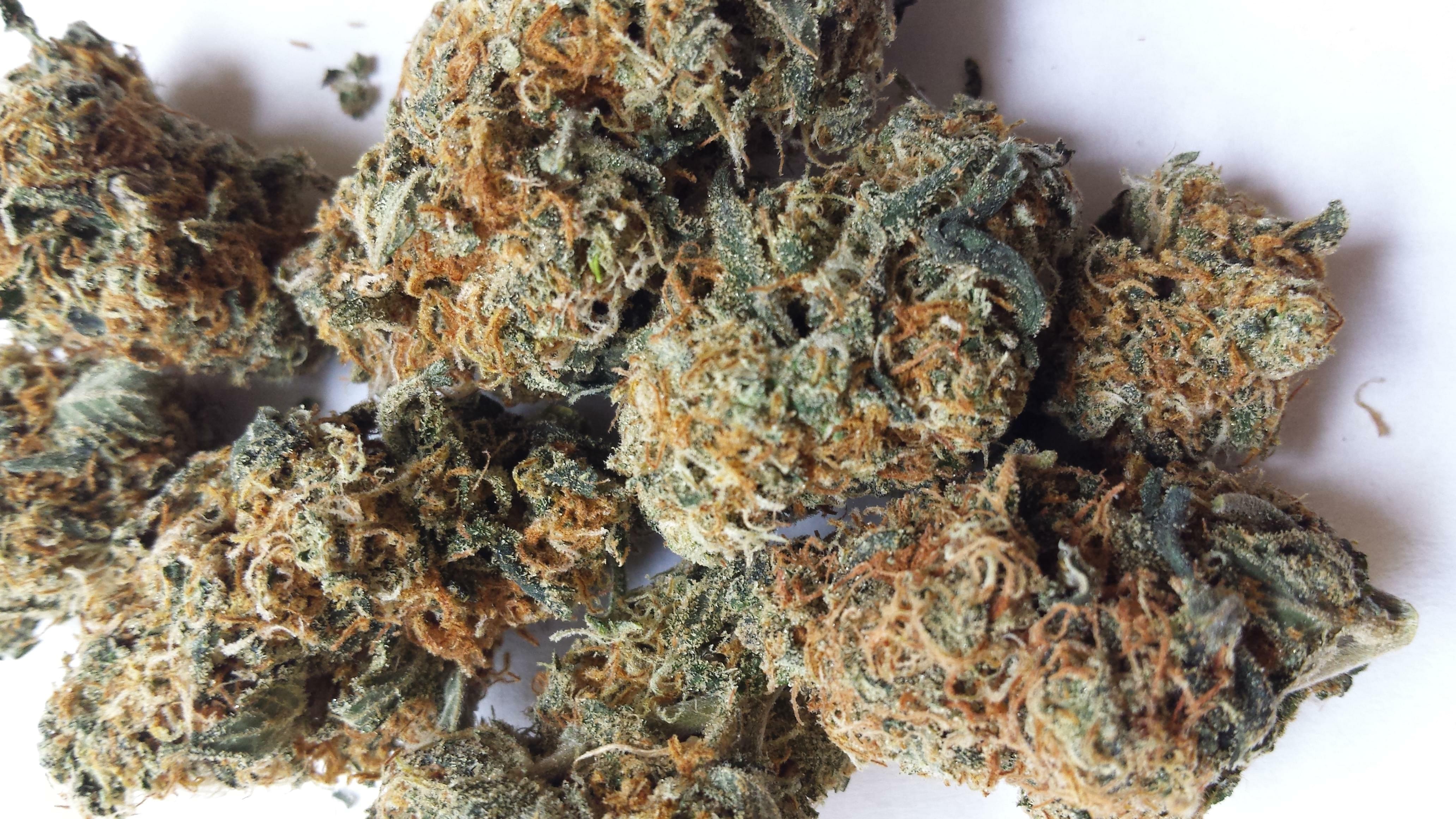 Afghan Kush Strain Information & Reviews | Where's Weed