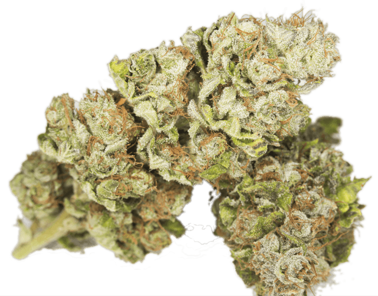 bruce-banner-strain-information-reviews-where-s-weed