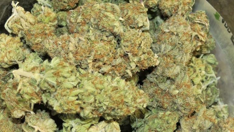 Buy Amnesia Haze Online