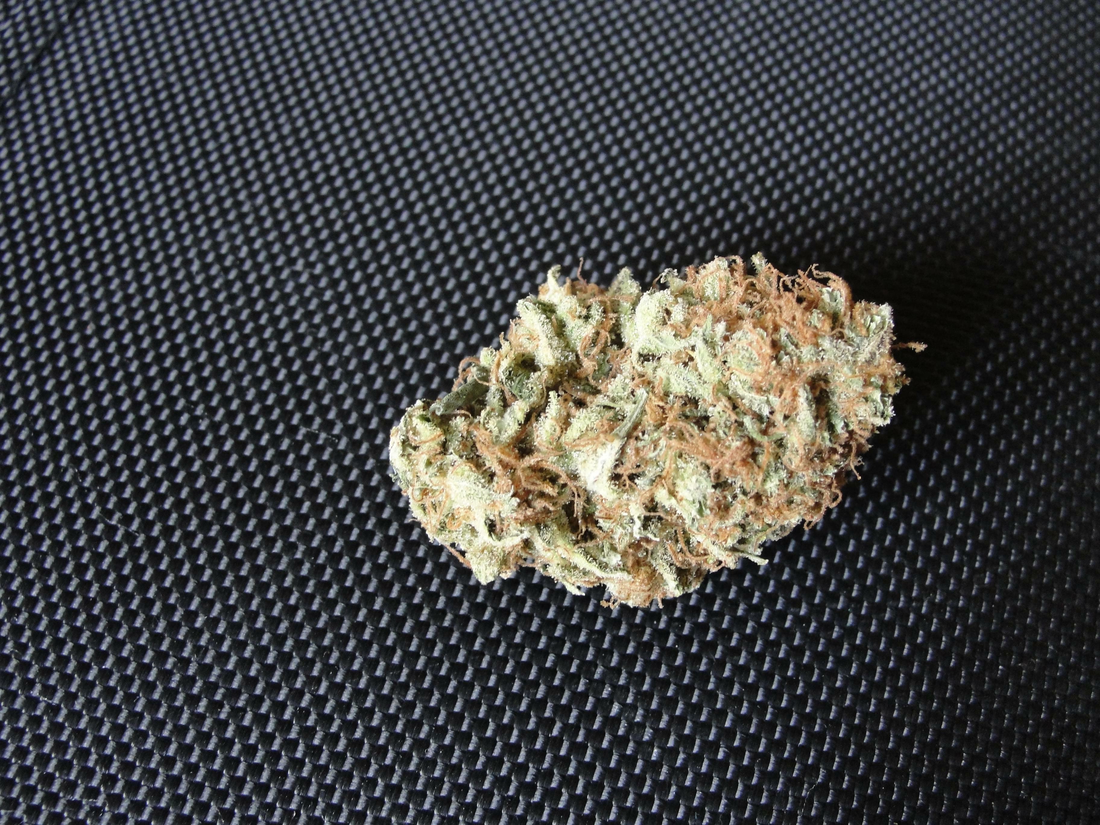 Black Jack Strain Information & Reviews Where's Weed
