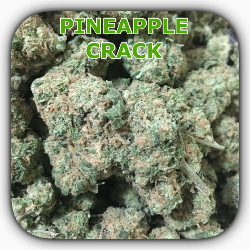 purple silverback strain purple silverback strain