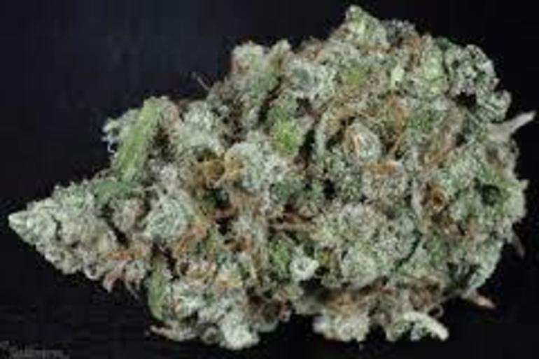 new york city diesel weed