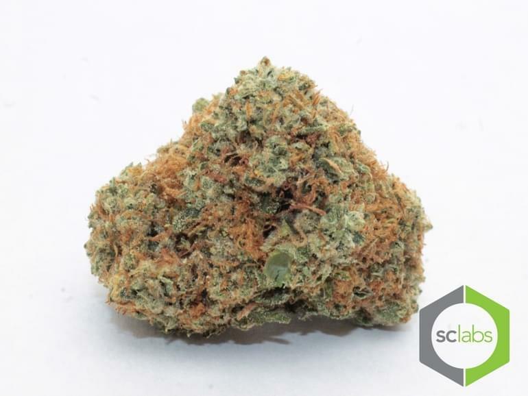 Alien Kush - Hybrid Strain Review - Legalize itWe Think So