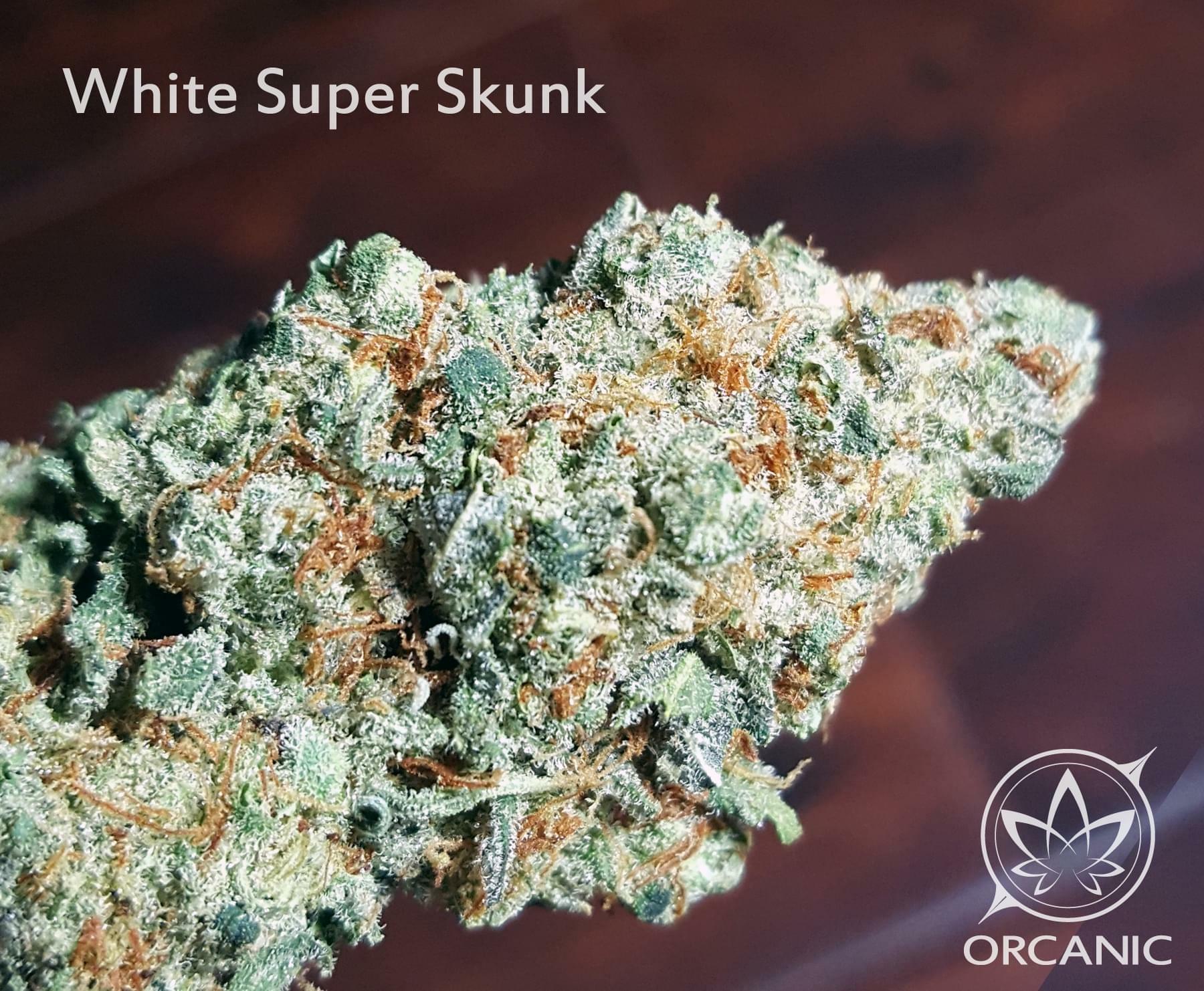 White Super Skunk Strain Information & Reviews | Where's Weed