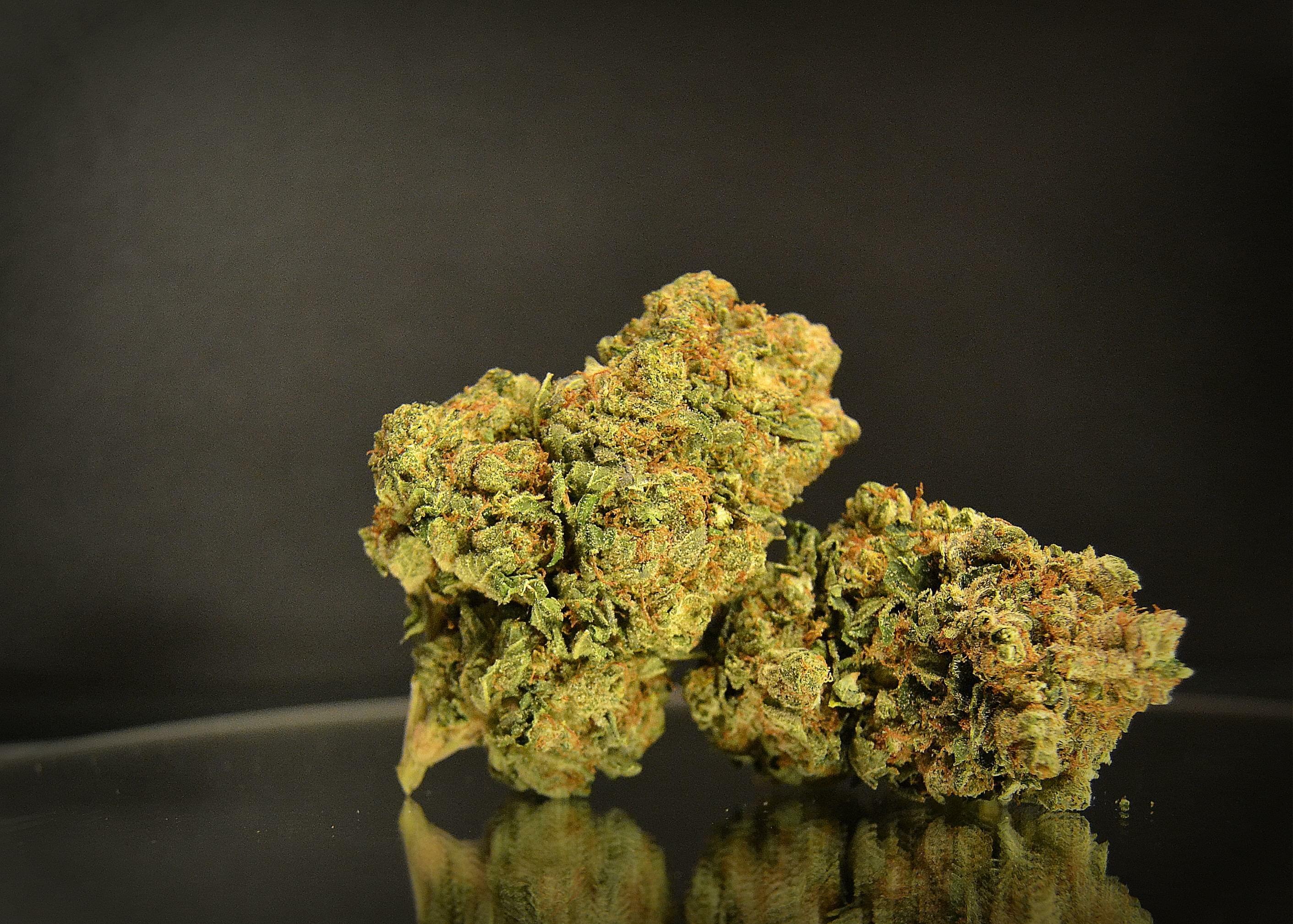 Sour Kush Strain Information & Reviews | Where's Weed