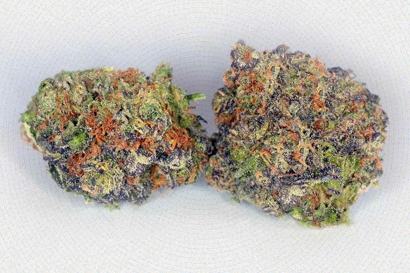 Blackberry Strain Information & Reviews | Where's Weed