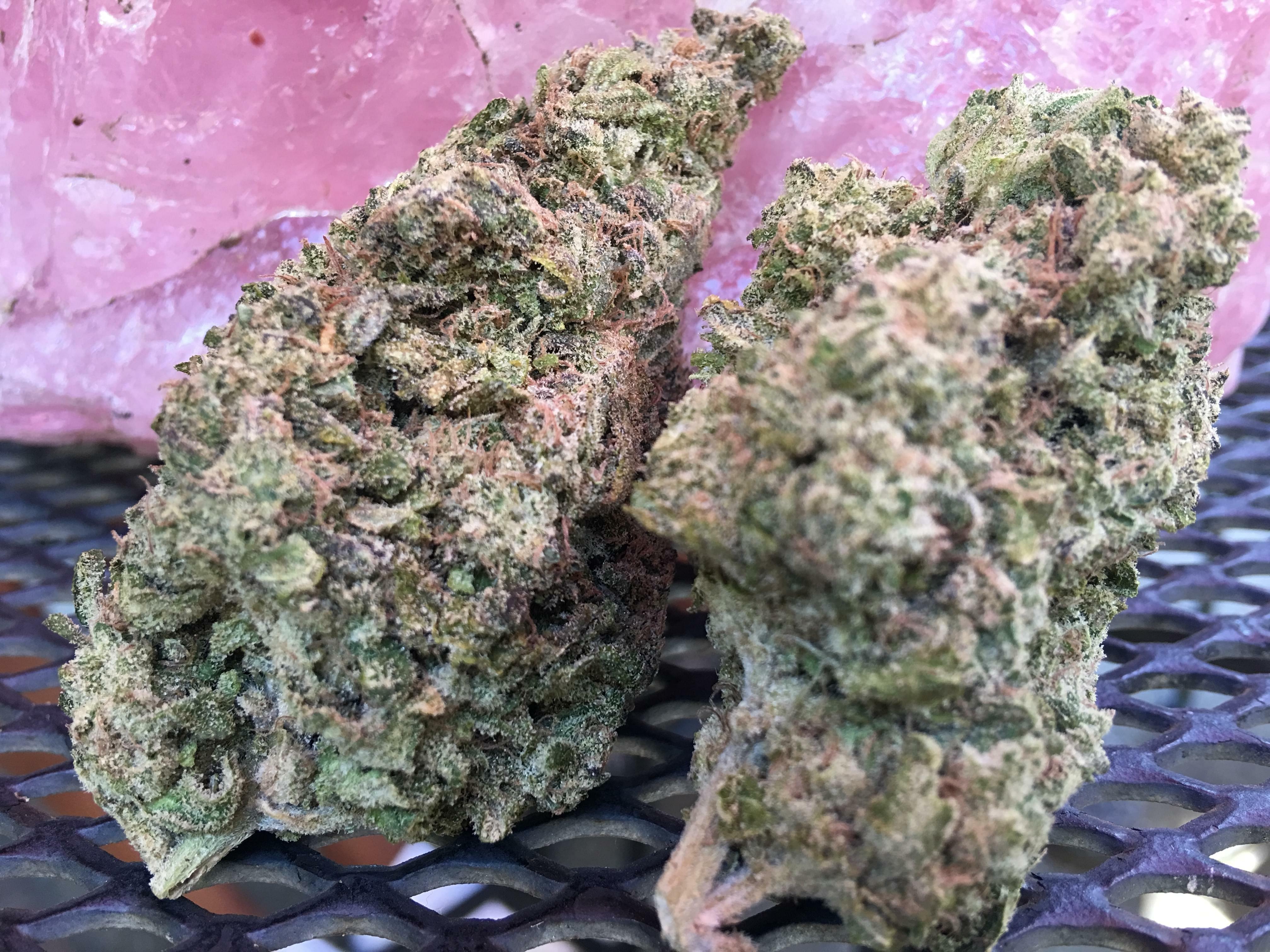 Cherry Ak 47 Strain Information And Reviews Wheres Weed