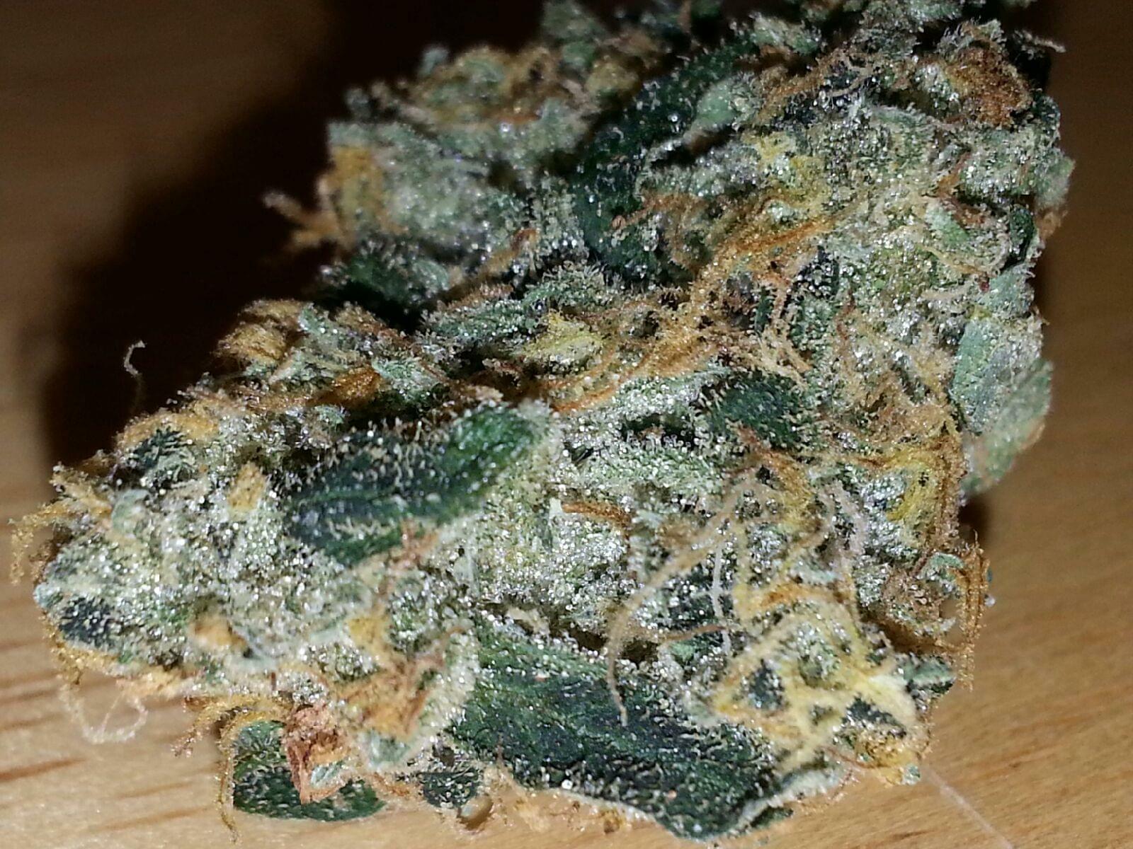 Super Skunk Strain Information & Reviews | Where's Weed