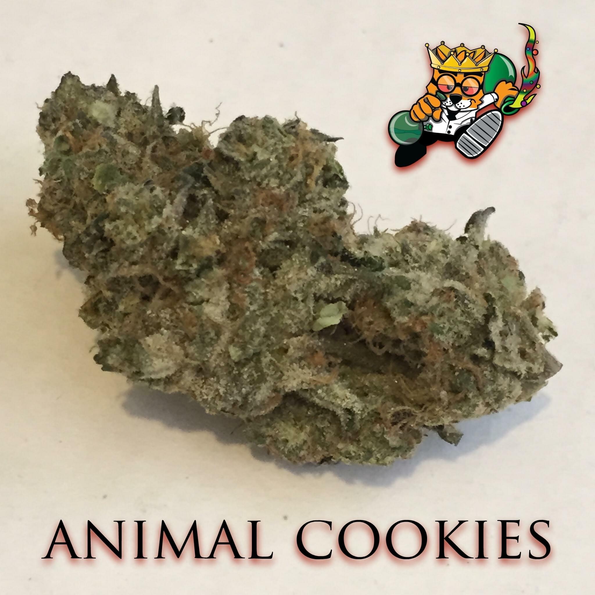 Animal Cookies image