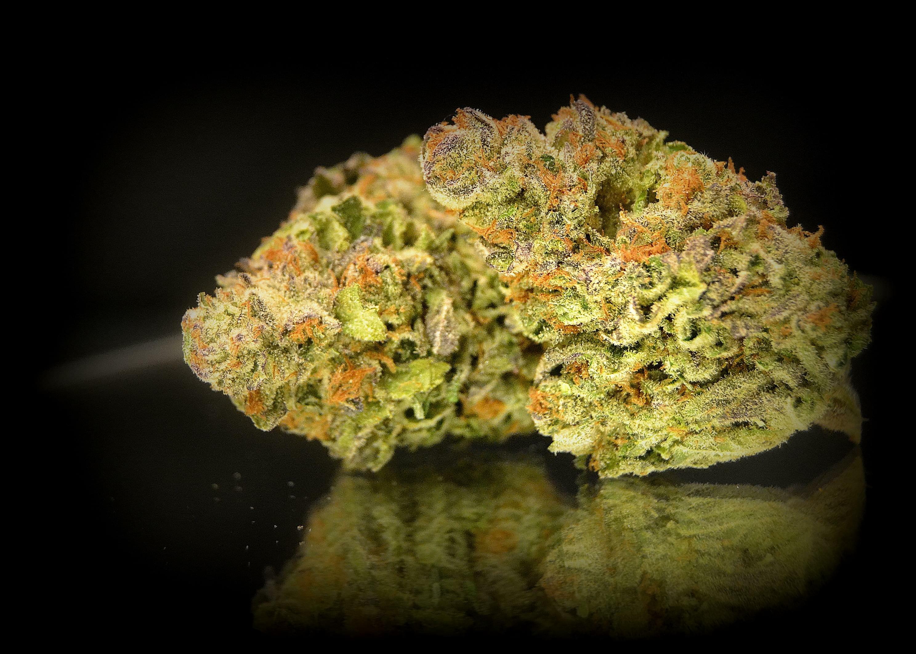 Tangerine Strain Information & Reviews Where's Weed