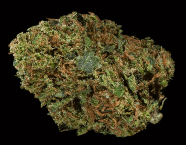 snoop dog purple urkle