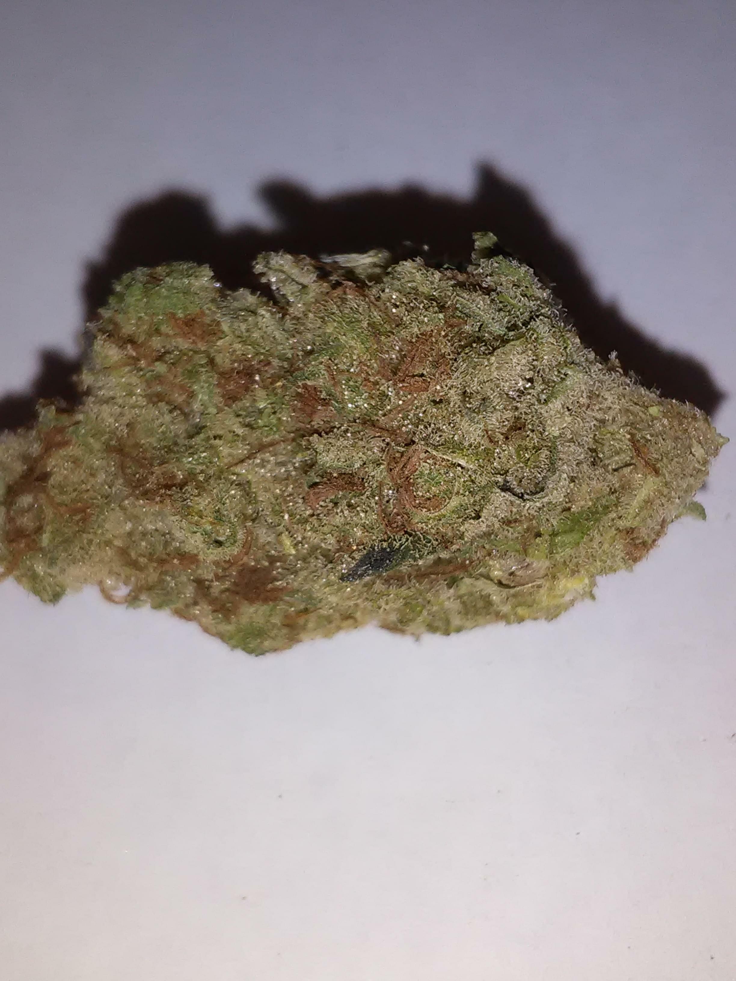 Candy Jack Strain Information & Reviews Where's Weed