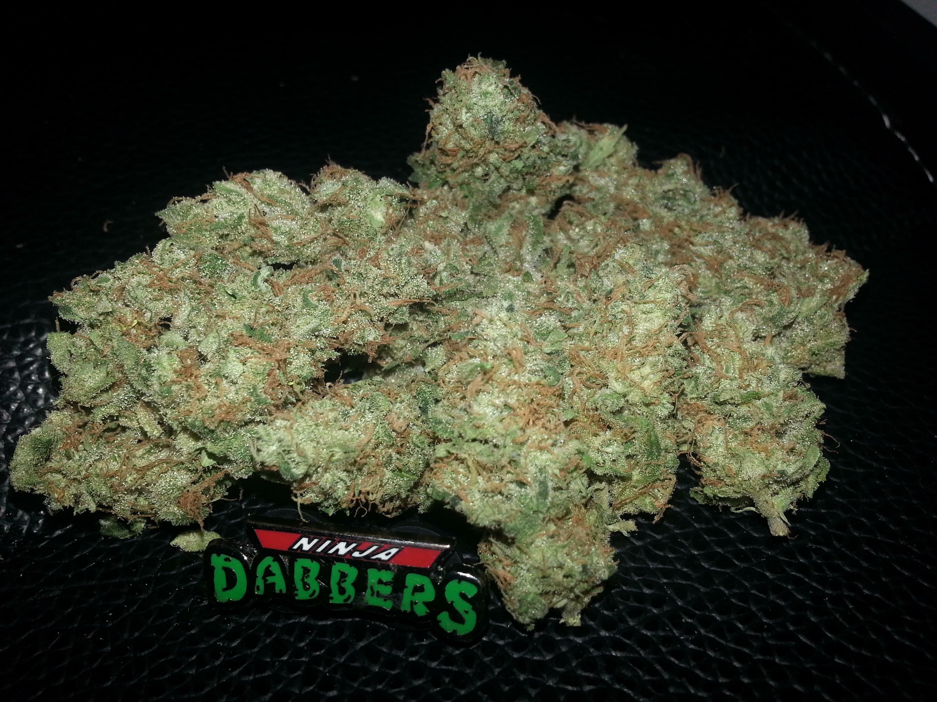 Jilly Bean Strain Information & Reviews Where's Weed