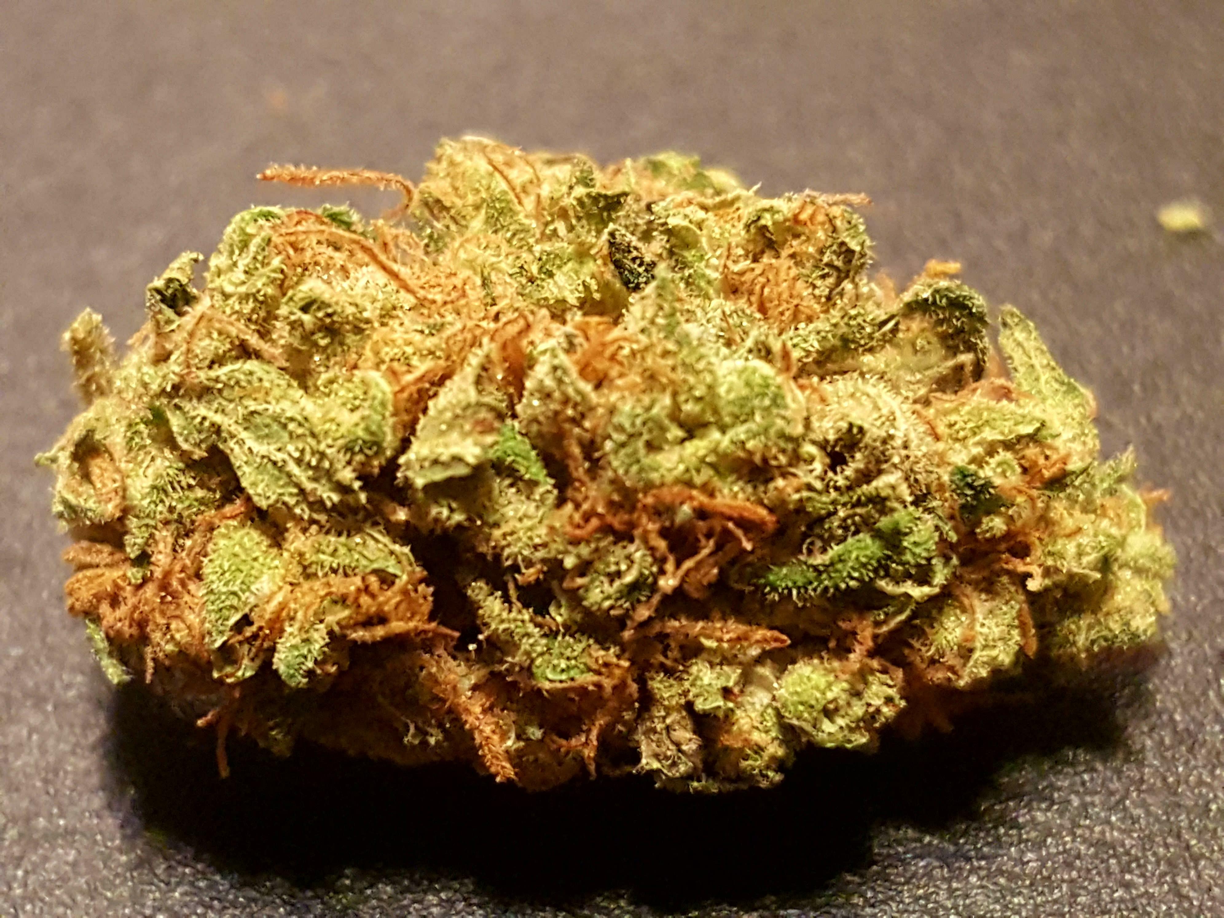 Agent Orange Strain Information & Reviews | Where's Weed